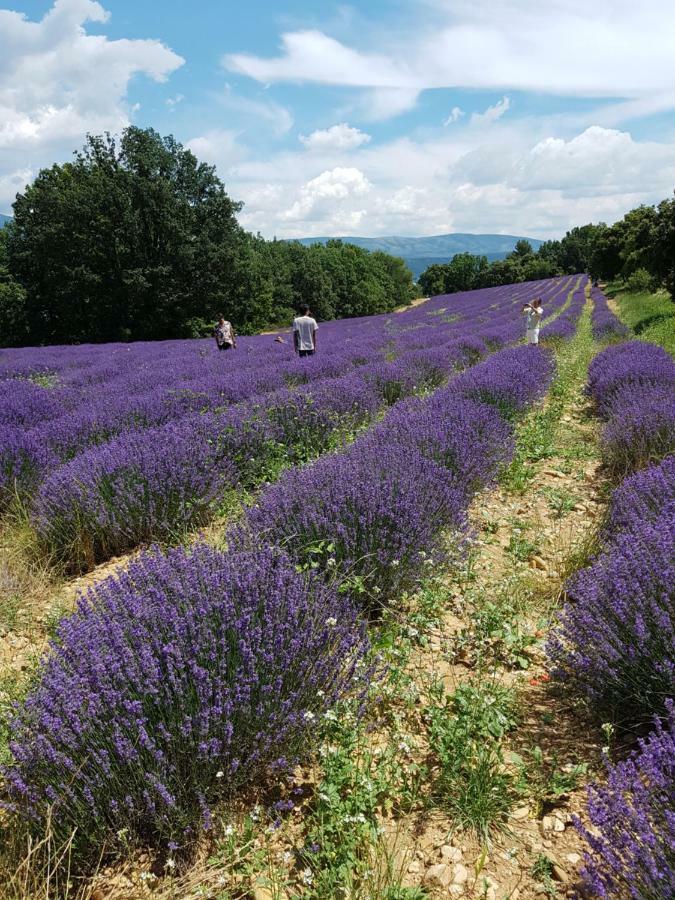 Holiday home Colline De Sollies Salernes